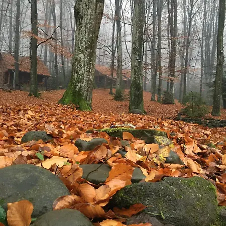 шиповець Hotel Poroshkovo