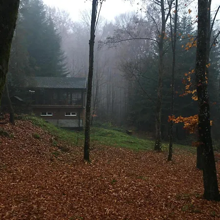 шиповець Poroskő