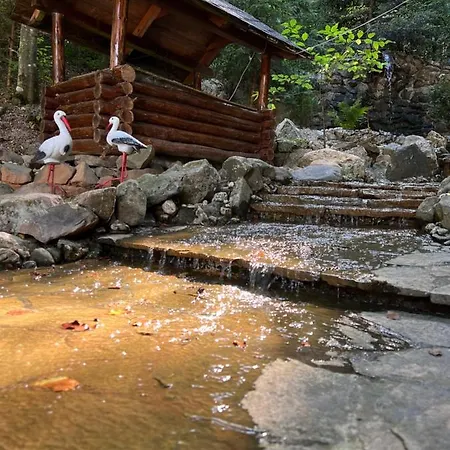 шиповець Hotel Poroshkovo