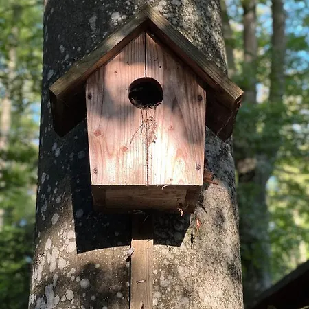 Hotel шиповець Poroshkovo