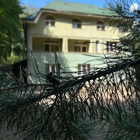шиповець Hotell