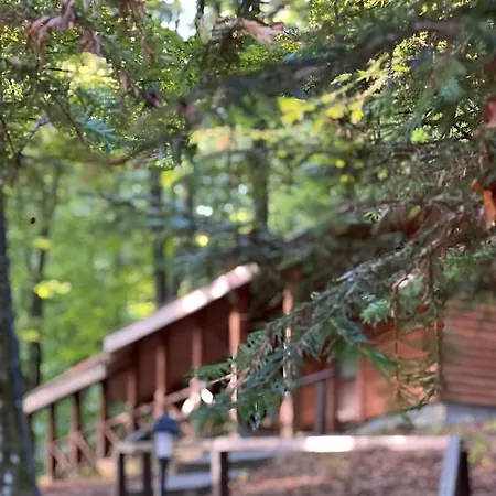 Hotel шиповець Poroshkovo