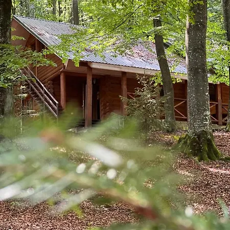 Hotel шиповець