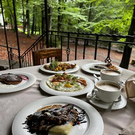 шиповець Hotel 3*