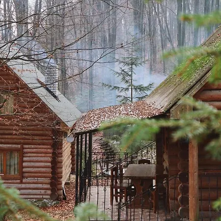 Hotel шиповець 3*