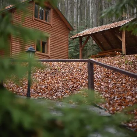 Hotel шиповець 3*