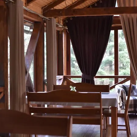 шиповець 3* Poroshkovo