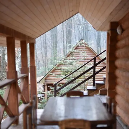 шиповець Poroshkovo