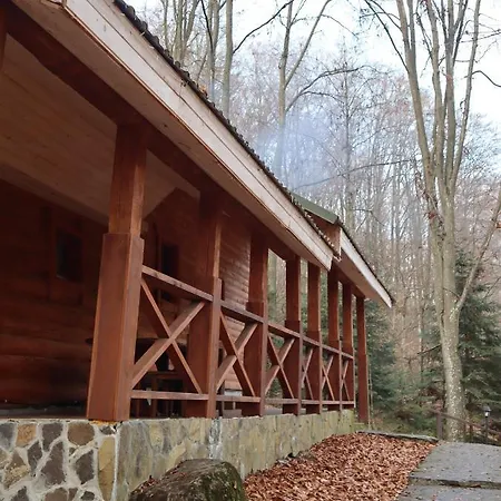 Hotel шиповець