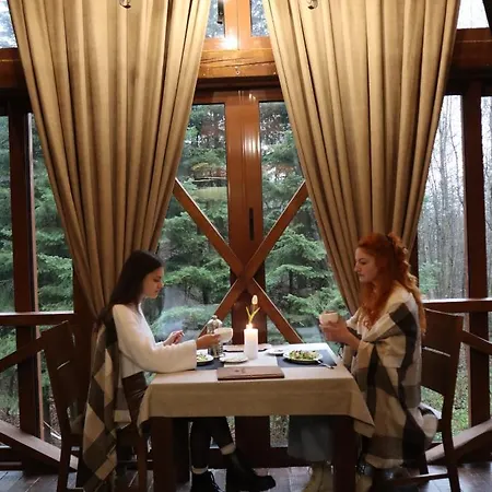 шиповець Hotel