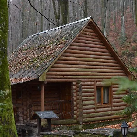 шиповець 3* Poroshkovo