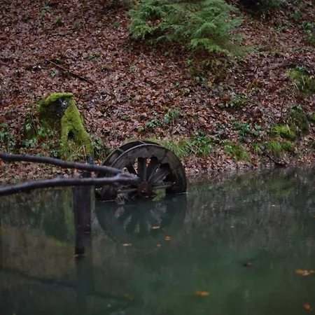 Hotel шиповець 3*