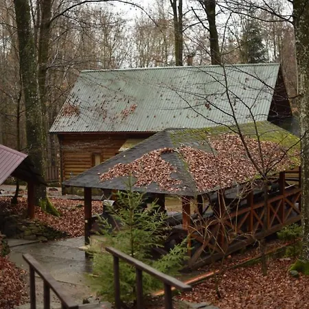 Hotel шиповець Poroshkovo