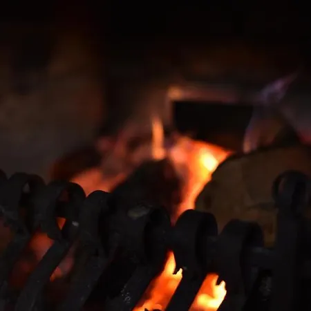 шиповець Hotel