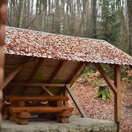 шиповець Poroshkovo