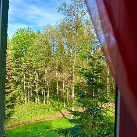 шиповець Hotel Poroshkovo