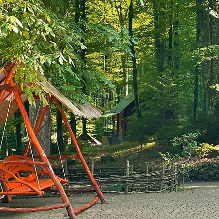 шиповець Poroshkovo