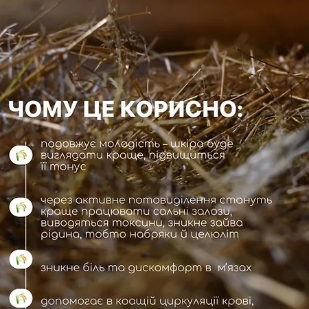 Hotel шиповець 3*