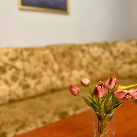 шиповець Hotel 3*