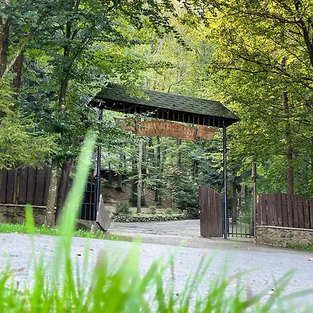 шиповець Отель