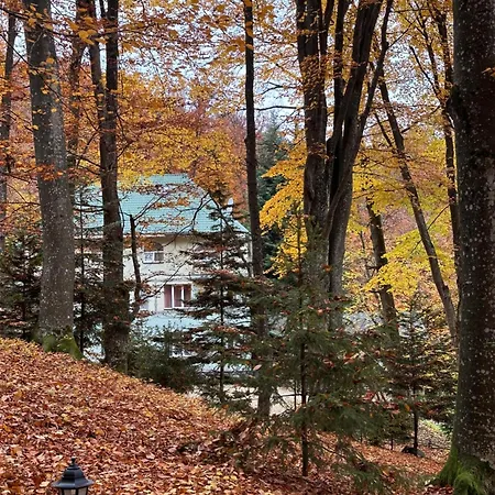 шиповець 3* Poroshkovo