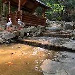 шиповець Hotel Poroshkovo