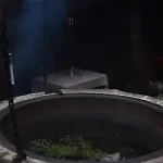шиповець 3*
